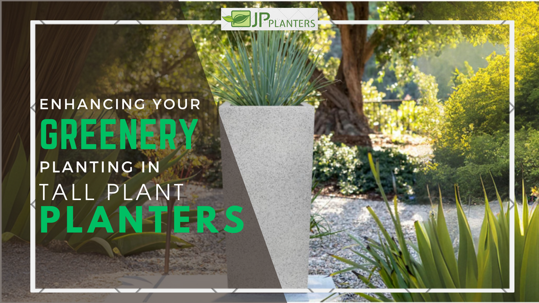 Enhancing Your Greenery: Planting in Tall Plant Planters
