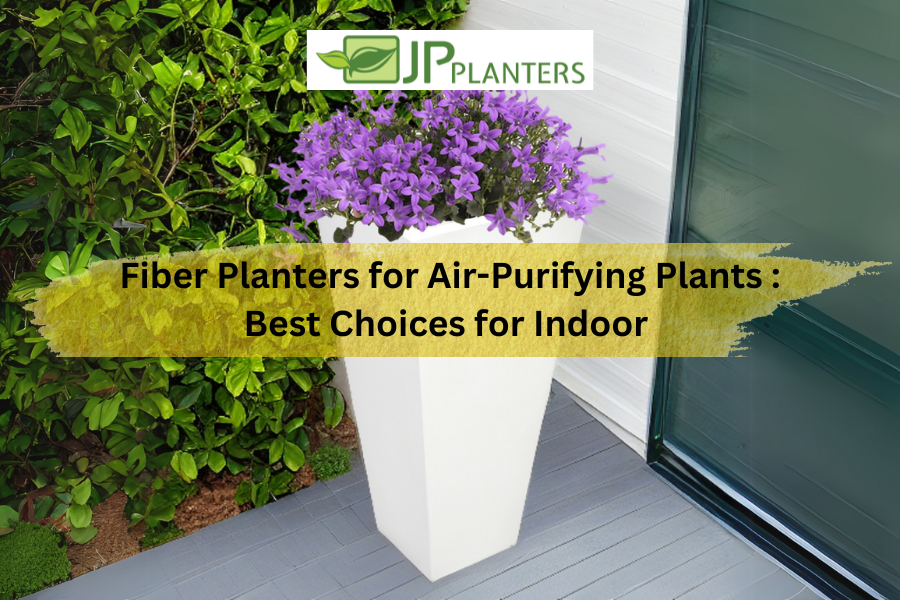 Fiber Planters for Air-Purifying Plants : Best Choices for Indoor