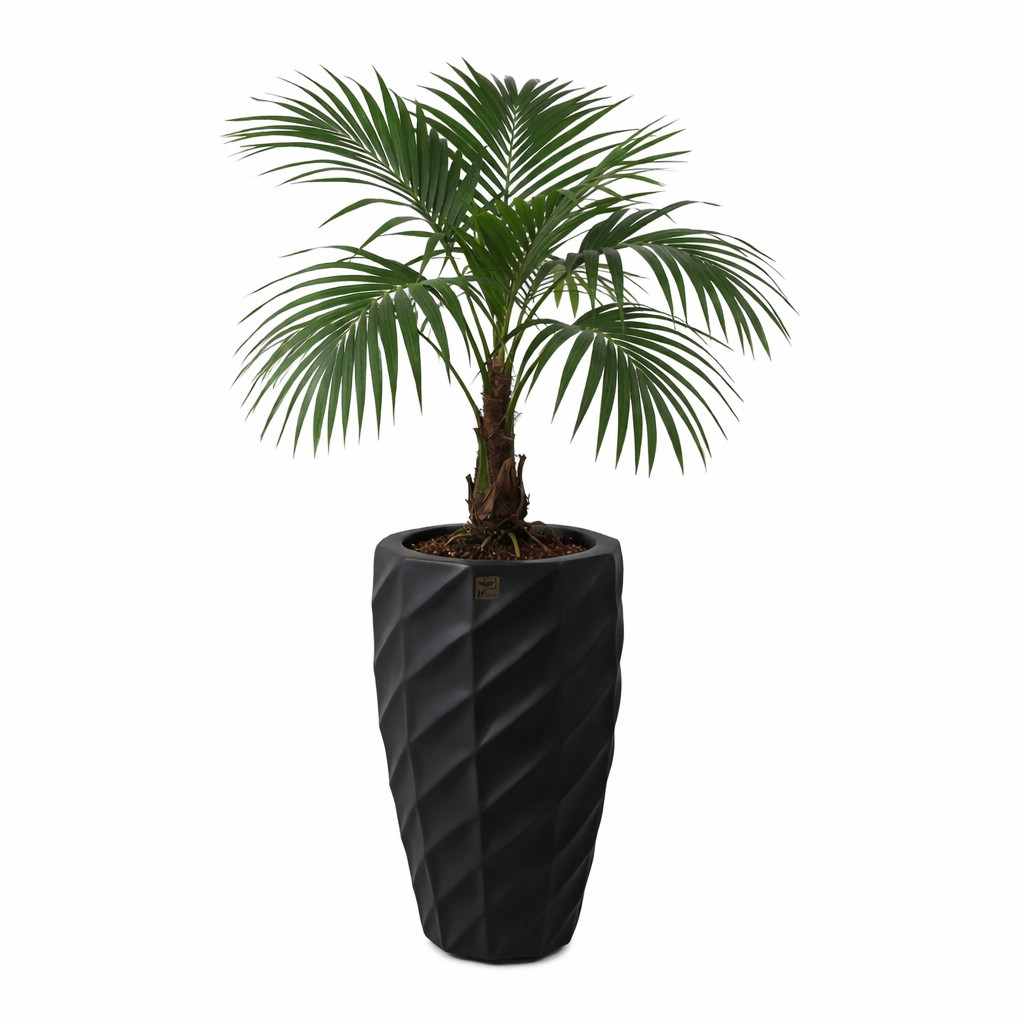 Gherkin Planter