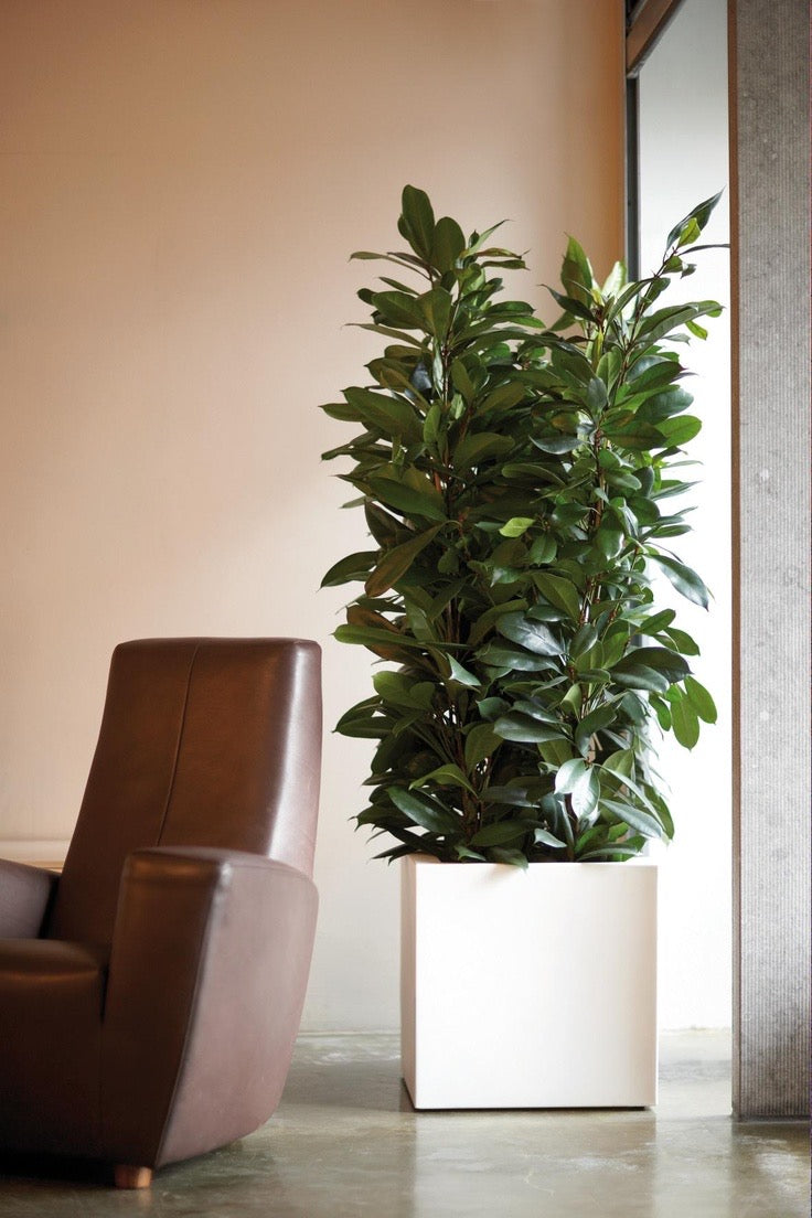 Milan Planter