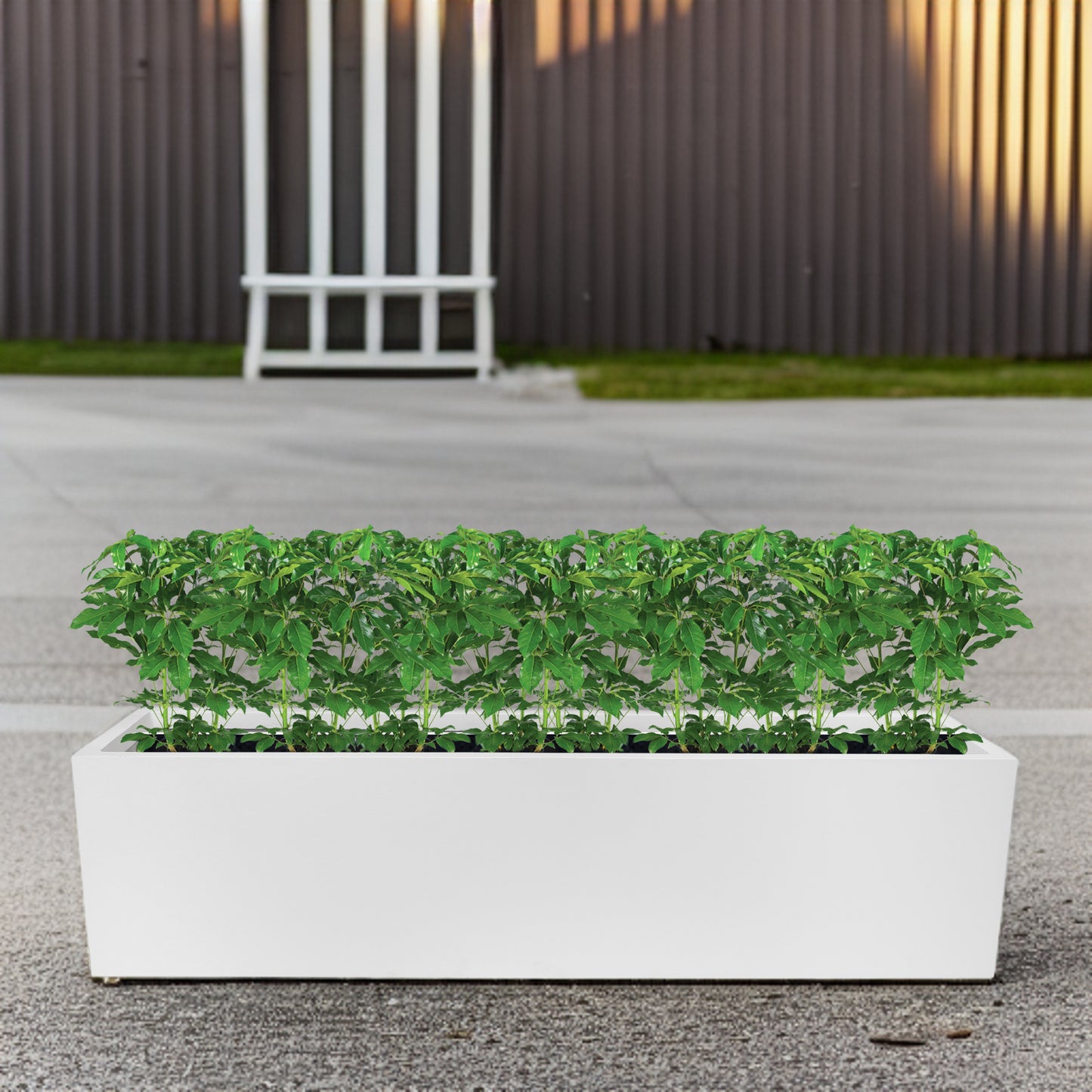 JP Naples Planter