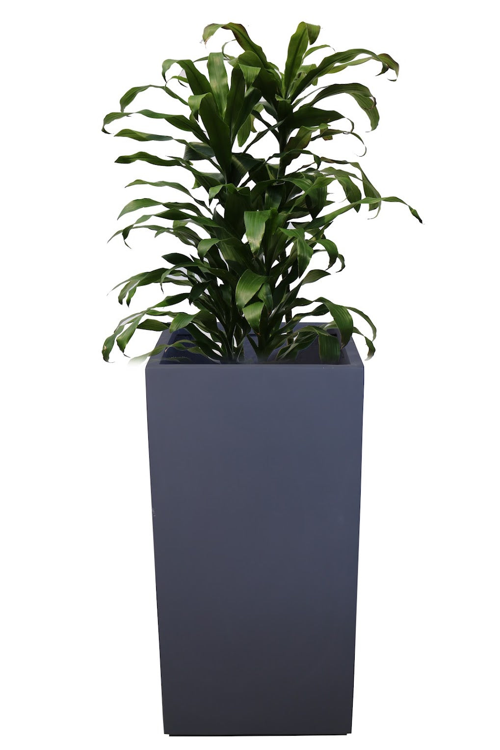 JP Pisa Planter