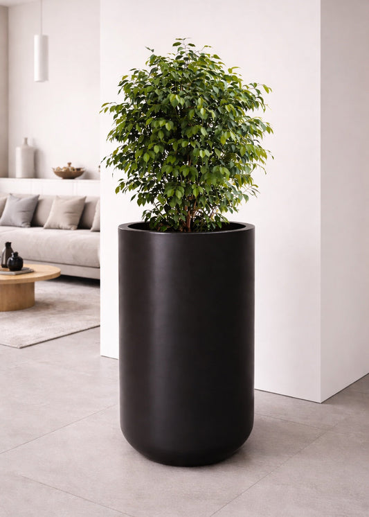 Reno Planter