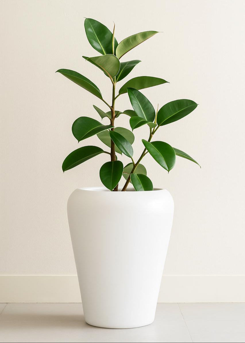 JP Large Apple Planter