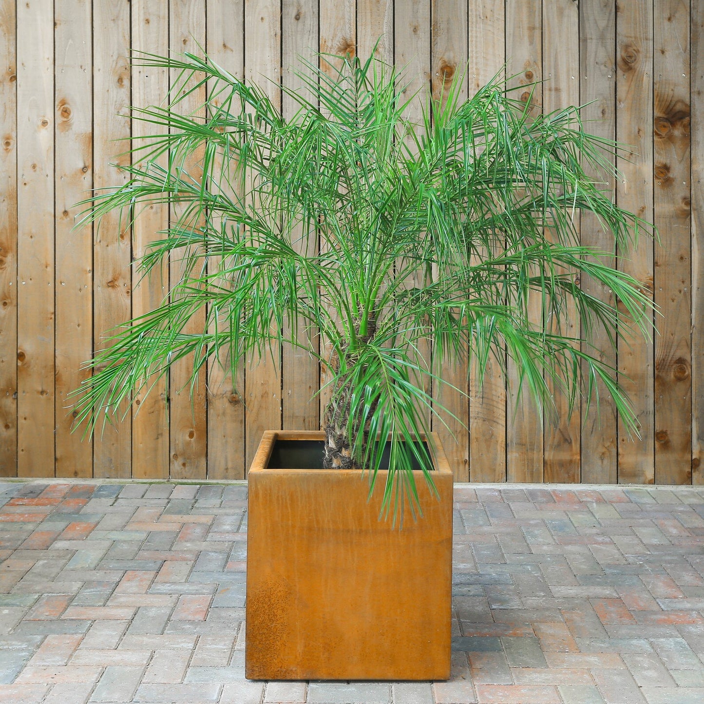 Corten Steel Cube Planter
