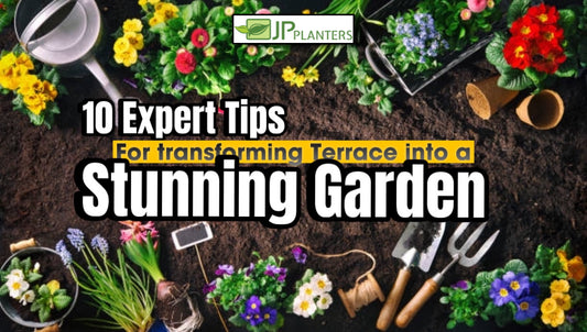 10 Expert Tips for Transforming Terrace into a Stunning Garden