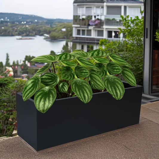 What is special about Corten steel planters?