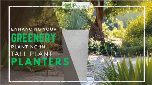 Enhancing Your Greenery: Planting in Tall Plant Planters