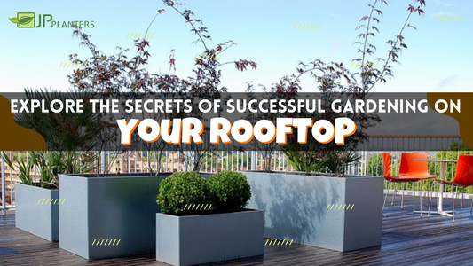 Explore the Secrets of Successful Gardening on your Rooftop