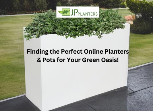 Finding the Perfect Online Planters & Pots for Your Green Oasis!