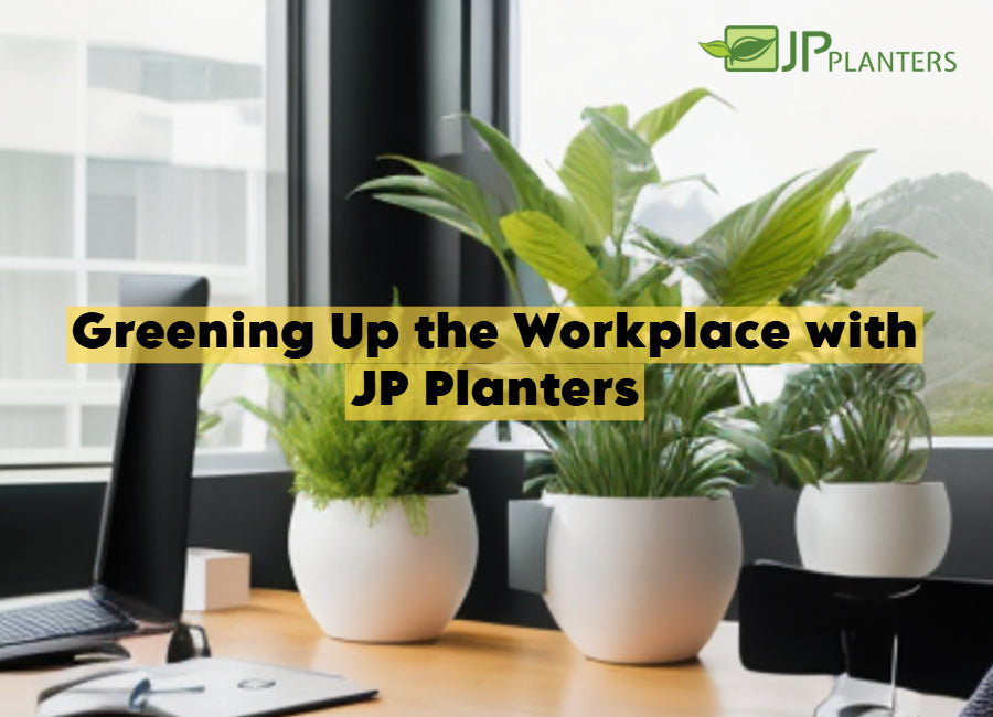 Greening up your workplace with JP Planters
