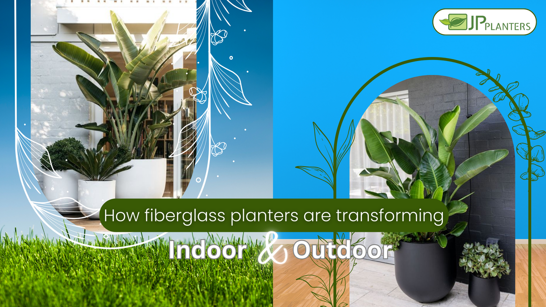 How Fiberglass Planters are transforming indoor & outdoor decor