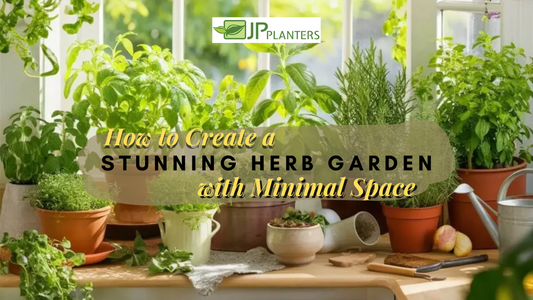 How to Create a Stunning Herb Garden with Minimal Space