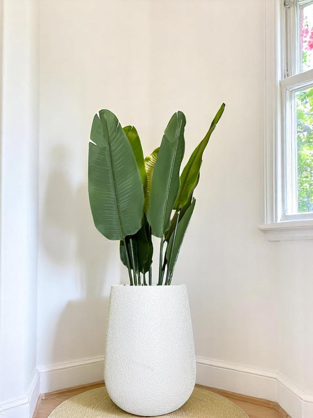 Buy Premium FRP Planters Online in India from the Series of Austin Planters: Stylish & Durable Planters for Your Green Space