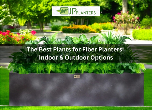 The Best Plants for Fiber Planters: Indoor and Outdoor Options