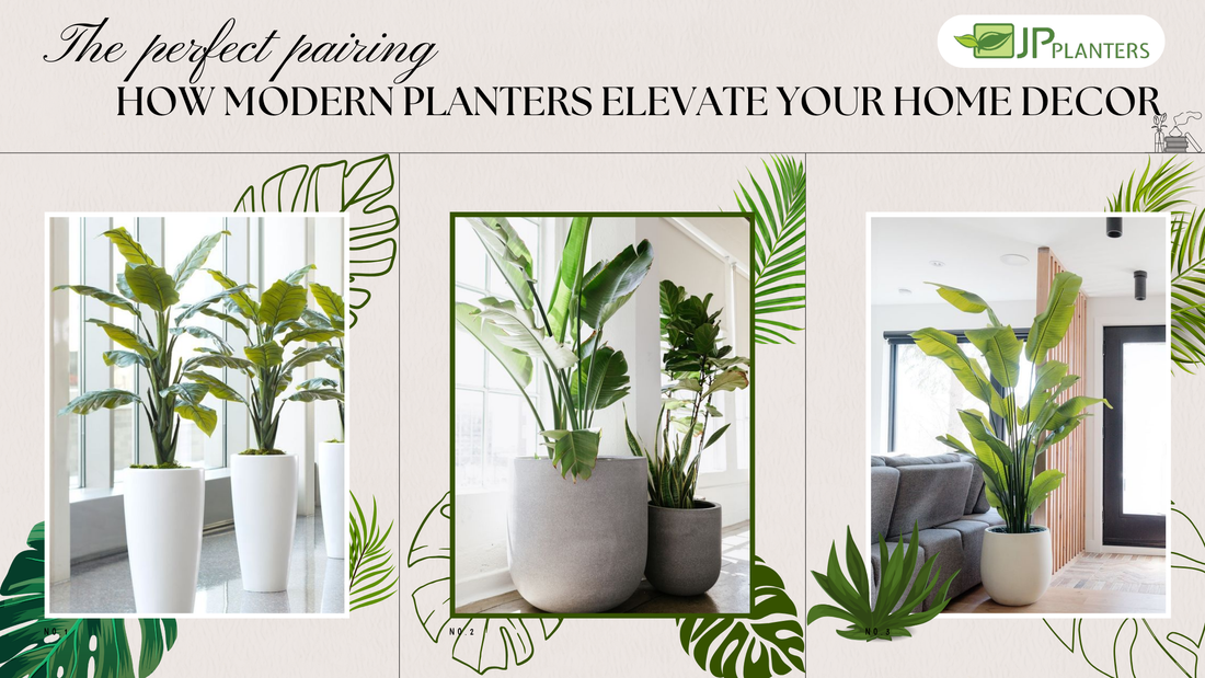 The Perfect Pairing: How Modern Planters Elevate Home Decor