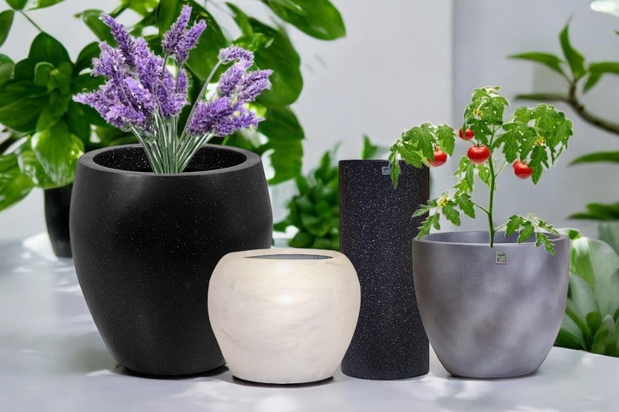 Top 10 Plants to Grow in FRP Planters for Urban gardeners
