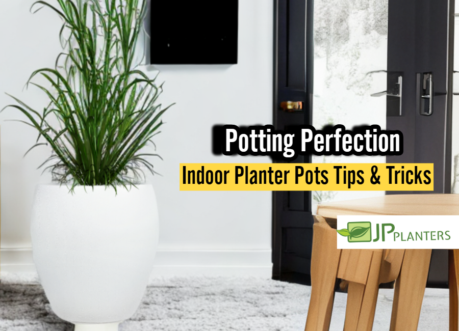 Potting Perfection: Indoor Planter Pots Tips & Tricks