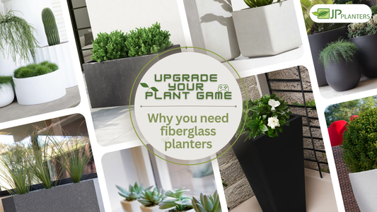 Upgrade Your Plant Game: Why You Need Fiberglass Planters