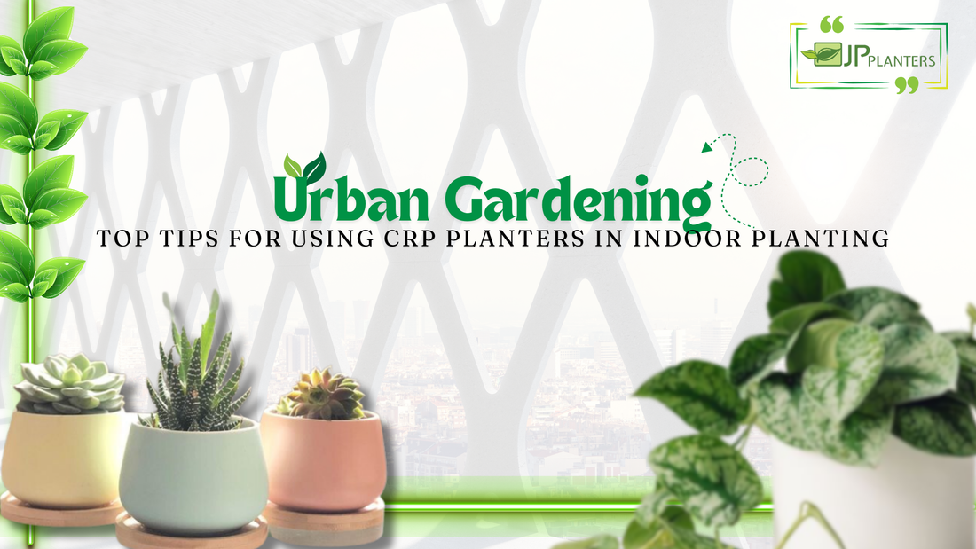 Urban Gardening : Top Tips for Using FRP Planters in Indoor Planting