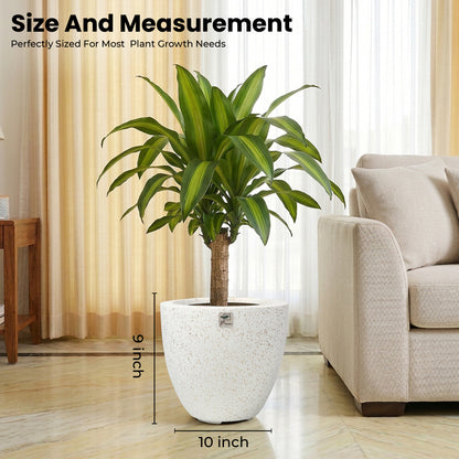 Bowl Planter
