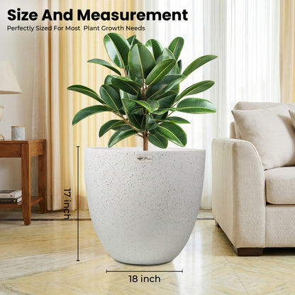 Bowl Planter