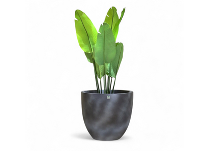 JP Bowl Classic Concrete Planter