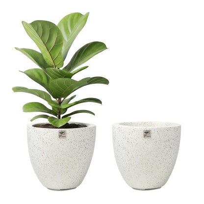 Bowl Planter