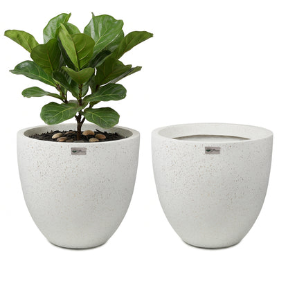 Bowl Planter