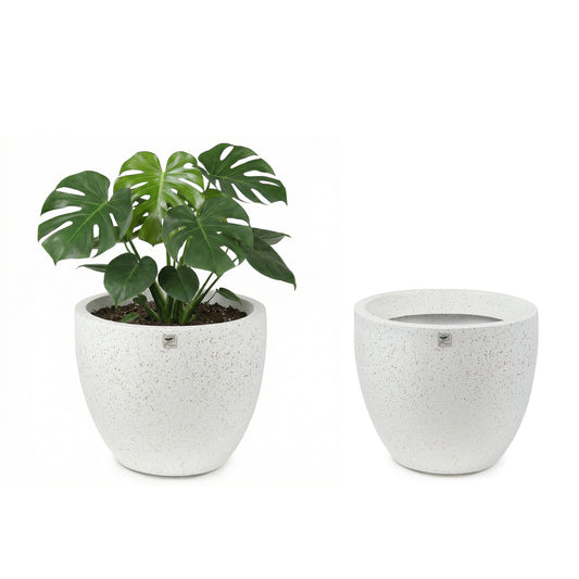 Bowl Planter