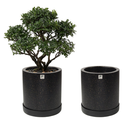 RIO Planter