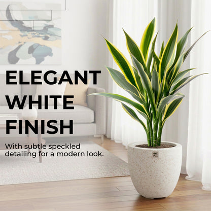 Bowl Planter