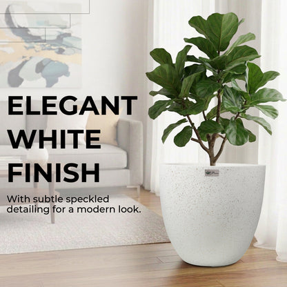 Bowl Planter