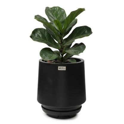 Soho Planter