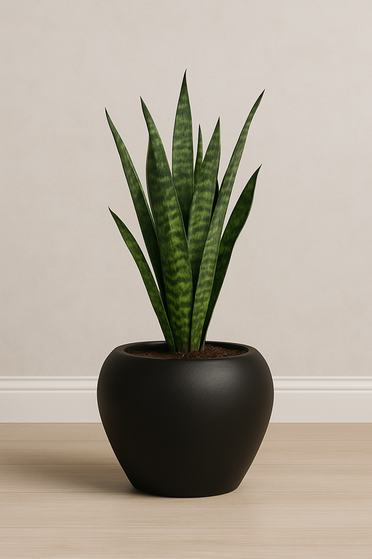 Small Apple Planter
