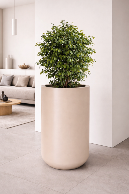 Reno Planter
