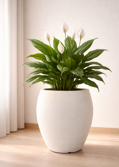 Oslo Planter