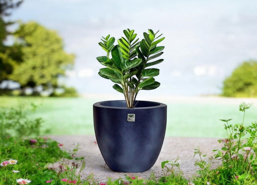 JP Bowl Classic Concrete Planter