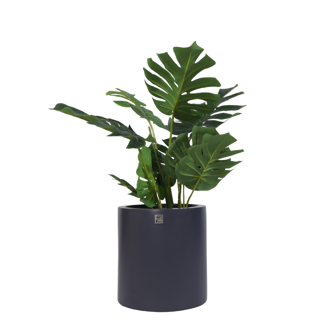 JP RIO Planter