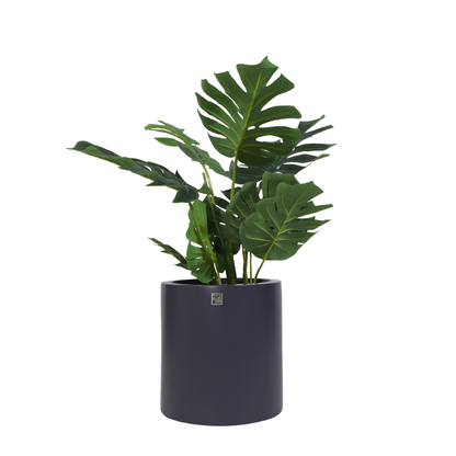 JP RIO Planter