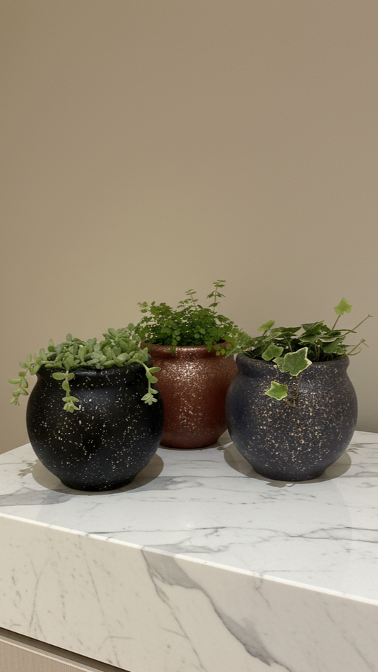 Mini Goa Planter