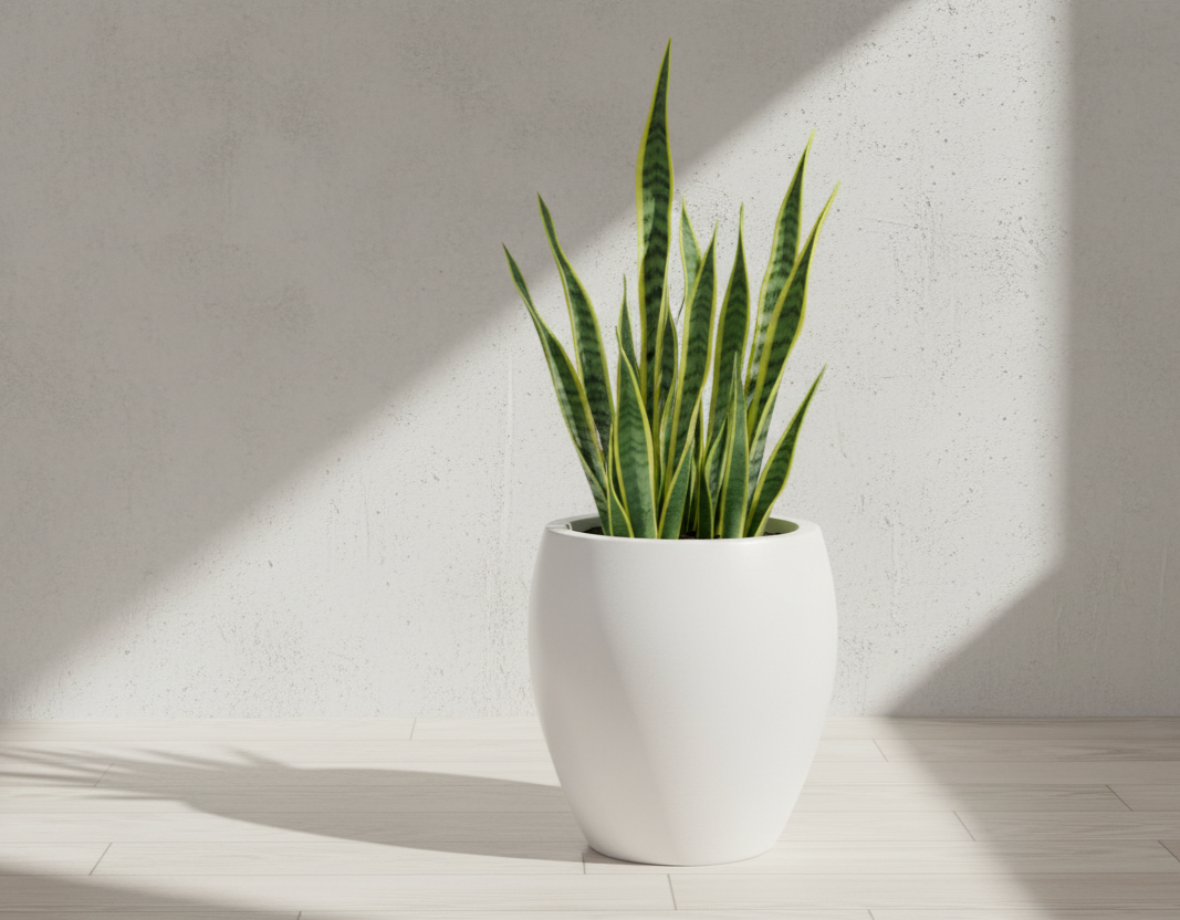 Oslo Planter