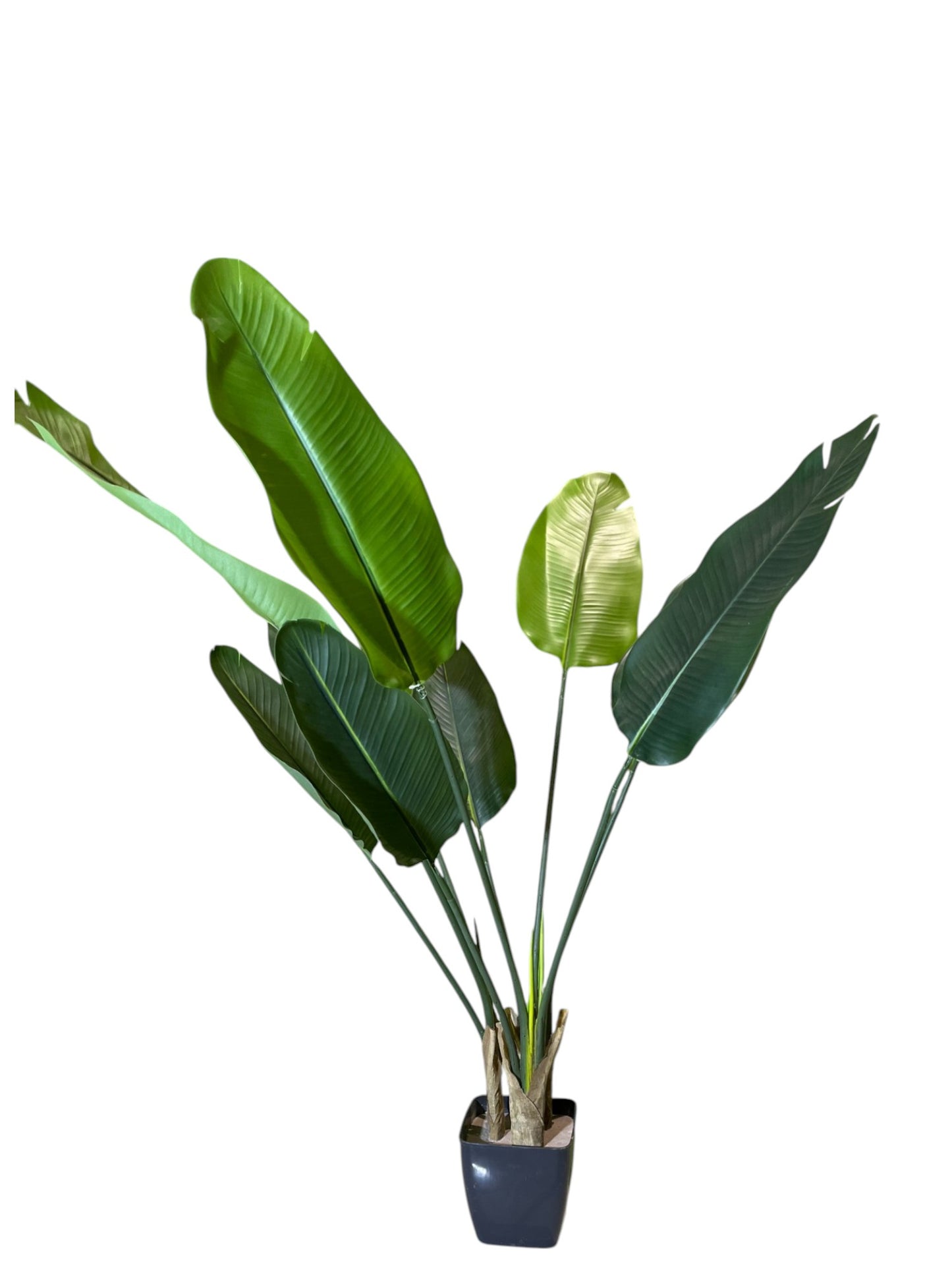 Small Austin Flower Pot