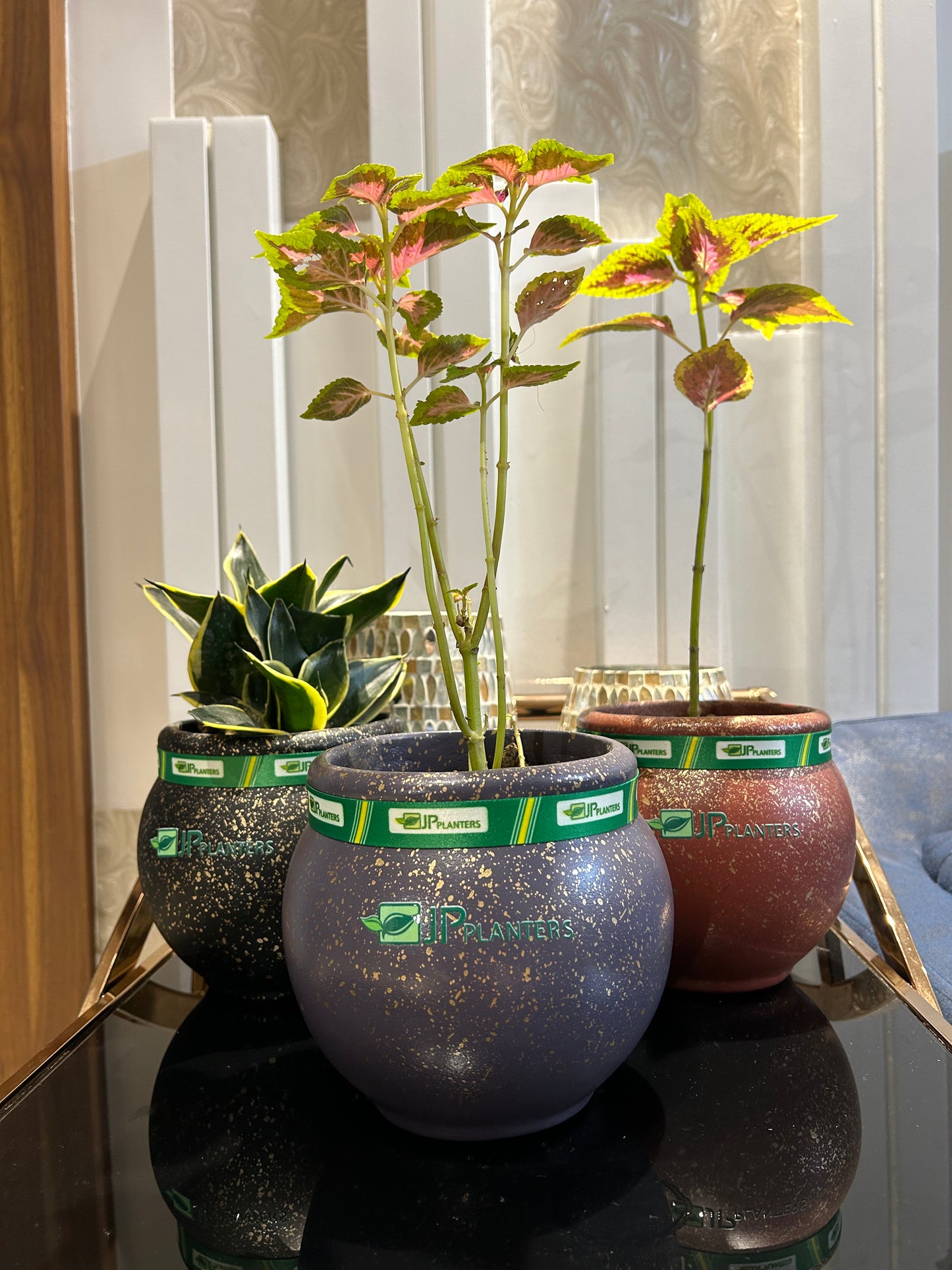 Mini Goa Planter