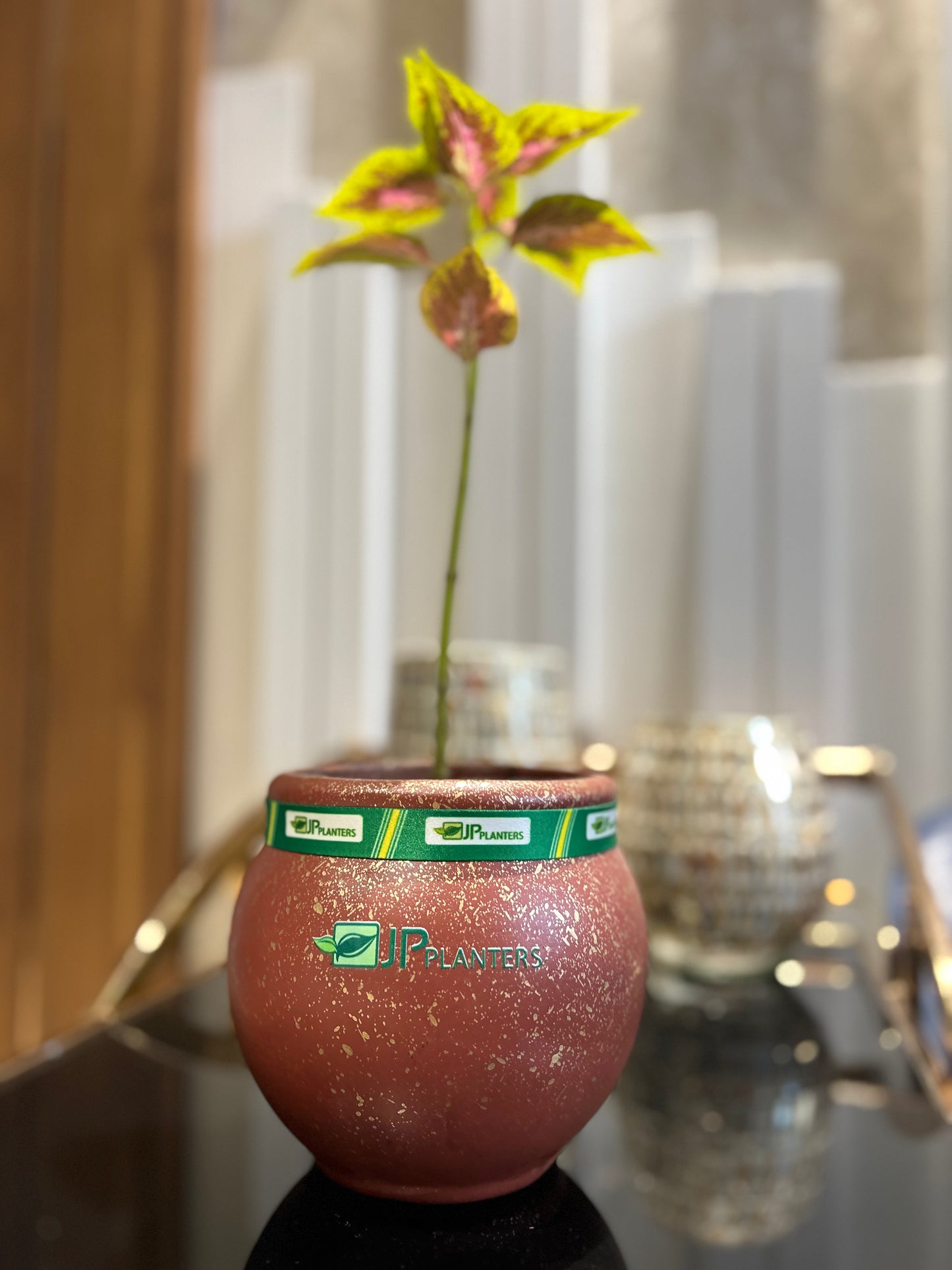 Mini Goa Planter