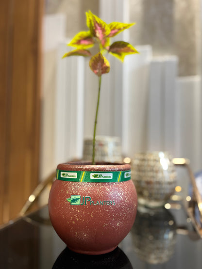 Mini Goa Planter