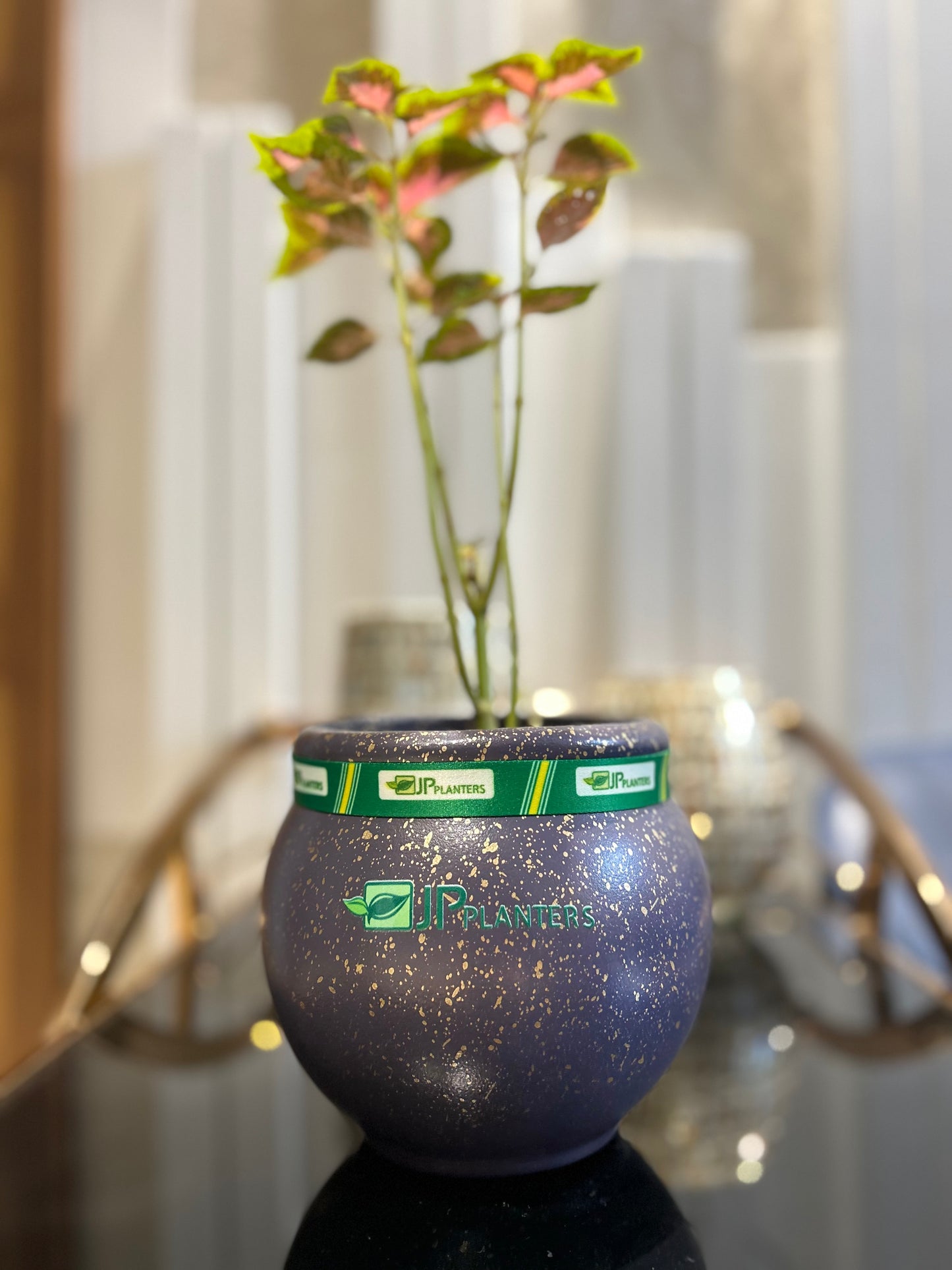 Mini Goa Planter