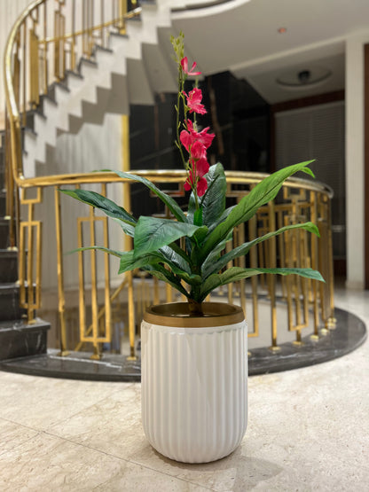 Seoul Luxurious Style Planter