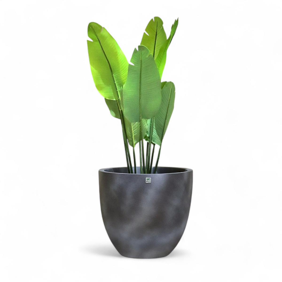 JP Bowl Classic Concrete Planter