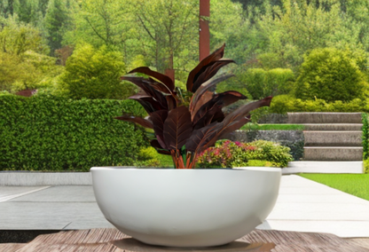 TARNO 690 gardening pots online